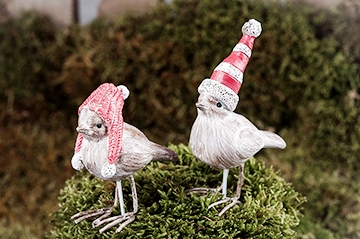 Fåglar med julmössa