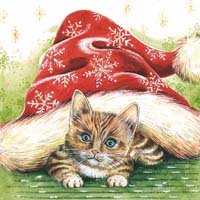 Servetter Christmas Kitten