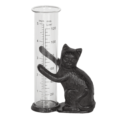 regnmätare av gjutjärn katt